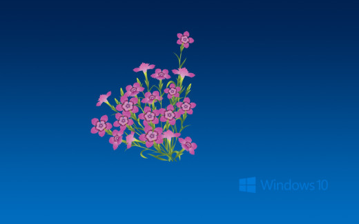 1170082 (a): :1920x1200
